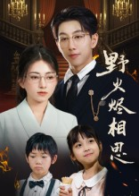 野火烬相思（61集）短剧全集都在这里免费看