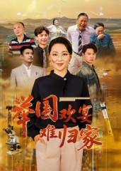 举国欢宴难归家（40集）爆款短剧追不停