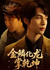 金lin化龙掌乾坤（54集）高分佳作短剧免费看