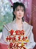 重生后神医王妃要休夫（86集）精彩短剧看全集