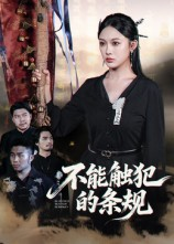 不能触犯的条规（50集）热播短剧抢先看大结局