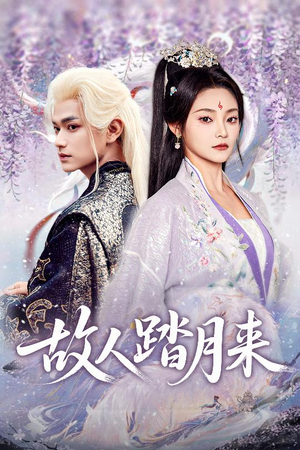 短剧《故人踏月来》60集短剧免费在线观看无广告