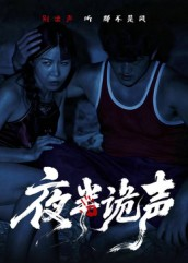 短剧《夜半诡声》28集短剧高清完整版免费观看