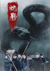 蛇影（25集）在哪个平台能看短剧