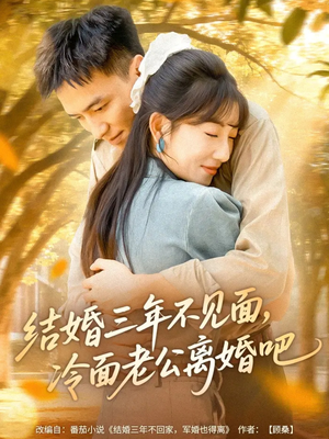 结婚三年不见面，冷面老公离婚吧（67集）热播短剧追不停