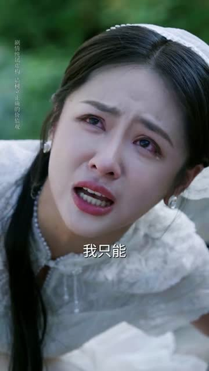 万物为契（71集）每天更新热门短剧