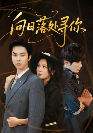 短剧《向日落处寻你》70集短剧4K超清画质免费看