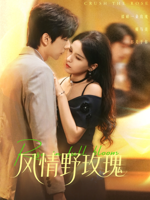 短剧《揉碎玫瑰》70集短剧超清画质免费看全集