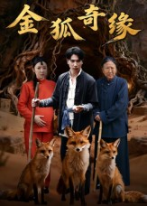 金狐奇缘(42集) 金狐奇缘(42集)免费短剧全集任你观看