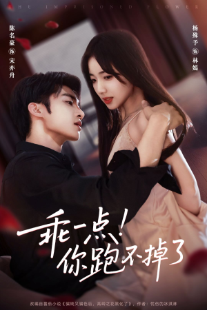 短剧《乖一点！你跑不掉了》85集短剧超清画质免费观看全集