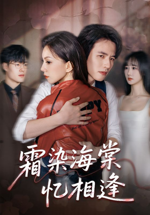 霜染海棠忆相逢（72集）短剧高清画质免费体验