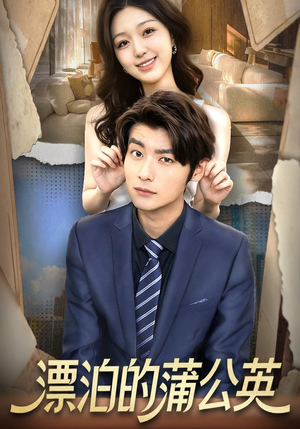 短剧《漂泊的蒲公英》60集短剧高清全集免费在线赏