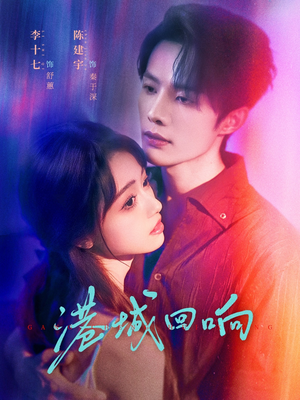 港城回响（79集）短剧小说在线看