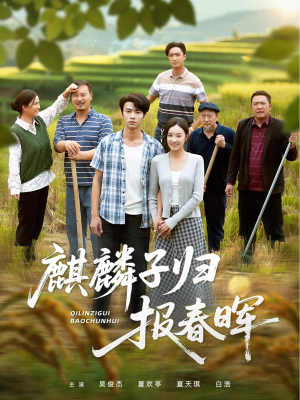 短剧《麒麟子归报春晖》36集短剧完整版在线免费看