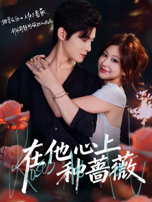 在他心上种蔷薇（81集）短剧追到爽越看越好看
