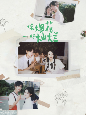 短剧《像烟花一样灿烂》60集短剧高清无删减免费观看