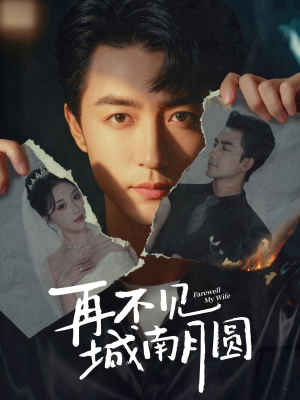 再不见城南月圆（60集）正能量短剧分享