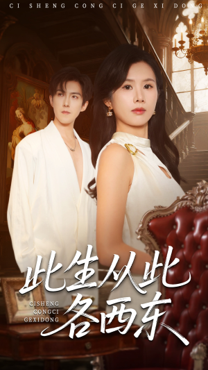 短剧《此生从此各西东》60集短剧1080P高清在线观看