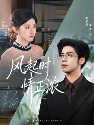 风起时情正浓（79集）短剧终篇全集限免看
