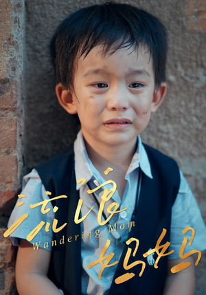 短剧《流浪妈妈》30集短剧完整版在线免费畅看