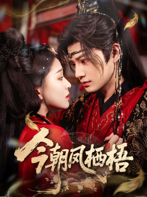 今朝凤栖梧（68集）短剧上头一起来追