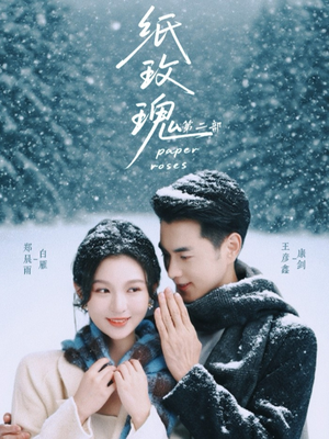 纸玫瑰第二部（80集）口碑爆棚短剧免费看