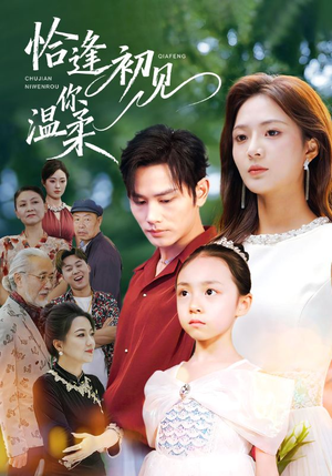 短剧《恰逢初见你温柔》86集短剧超清画质畅享全集