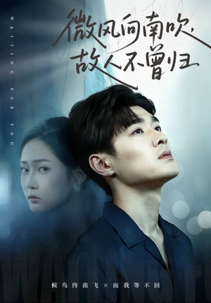 微风向南吹，故人不曾归（72集）最热短剧火爆上线