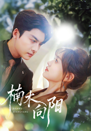 楠木向阳（70集）最新火爆短剧抢先看