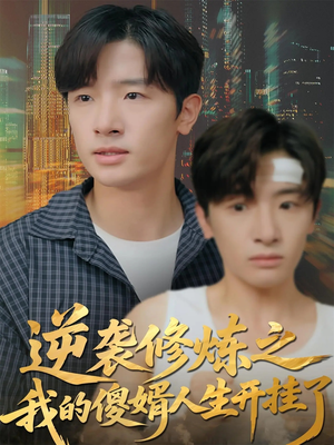 逆袭修炼之我的傻婿人生开挂了（65集）忍不住一口气看到短剧大结局