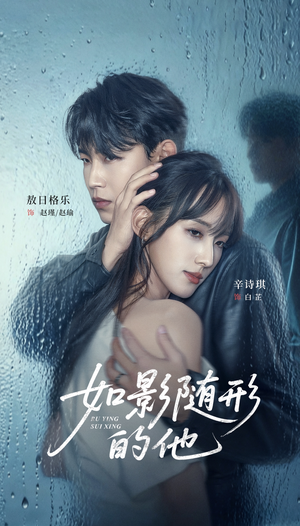 如影随形的他（30集）大结局一气呵成的短剧