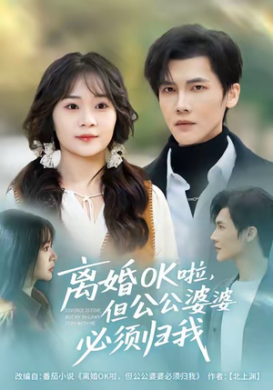 短剧《离婚OK啦，但公公婆婆必须归我》81集短剧免费解锁全集观看