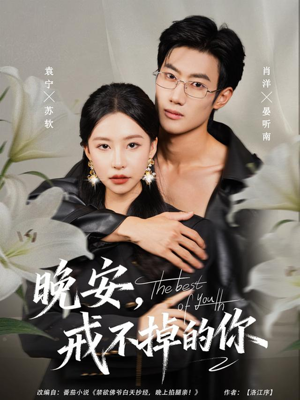 晚安，戒不掉的你（68集）免费观看热门短剧