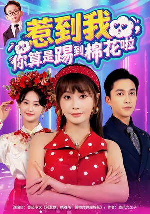 惹到我，你算是踢到棉花啦（67集）精彩短剧等你来看