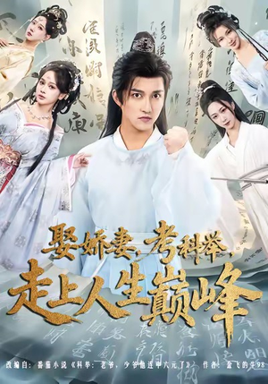 娶娇妻，考科举，走上人生巅峰（80集）悟空游览器免费看短剧