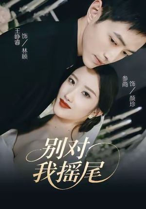 别对我摇尾（59集）短剧追到爽大结局来了