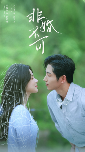 非婚不可（65集）精彩短剧持续更新中