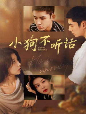 小狗不听话（70集）排行榜前十短剧免费看