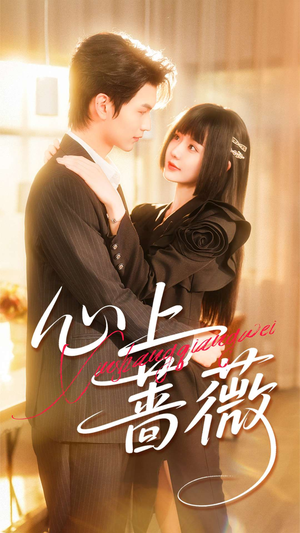 心上蔷薇（100集）热门短剧全集观看