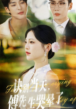 诀别当天傅先生哭晕了（62集）免费短剧看不停