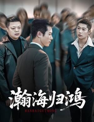 瀚海归鸿（74集）免费看热门短剧推荐