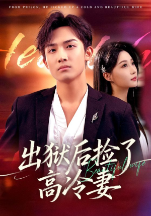 出狱后捡了高冷妻（71集）红果短剧免费看