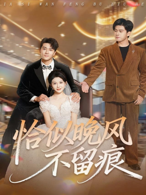 恰似晚风不留痕（61集）每日短剧分享更新