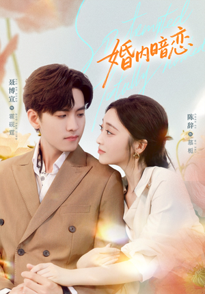 婚内暗恋（80集）短剧最热榜最近火的