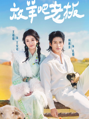 放羊吧老板（60集）短剧解说推荐好剧