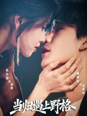 当归遇上野格（66集）短剧大结局限免特辑