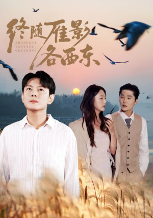 短剧《终随雁影各西东》86集短剧超清画质免费观看