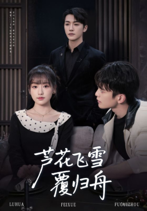 芦花飞雪覆归舟（77集）全集免费看热门短剧推荐