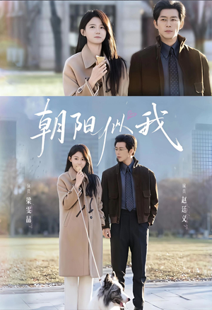 短剧《朝阳似我》81集短剧1080P画质免费赏