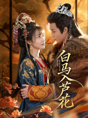 短剧《白马入芦花》59集短剧高清无删减版免费看